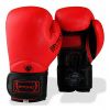 Bytomic Performer V4 | Boxing Gloves (Kids) Photo 4