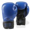 Bytomic Performer V4 | Boxing Gloves (Kids) Photo 2