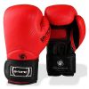 Bytomic Performer V4 | Boxing Gloves Photo 1